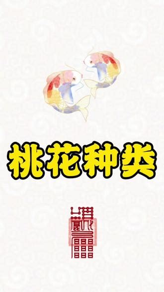 偏桃花意思|偏桃花